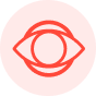 Absolute Privacy with No-Logs Policy